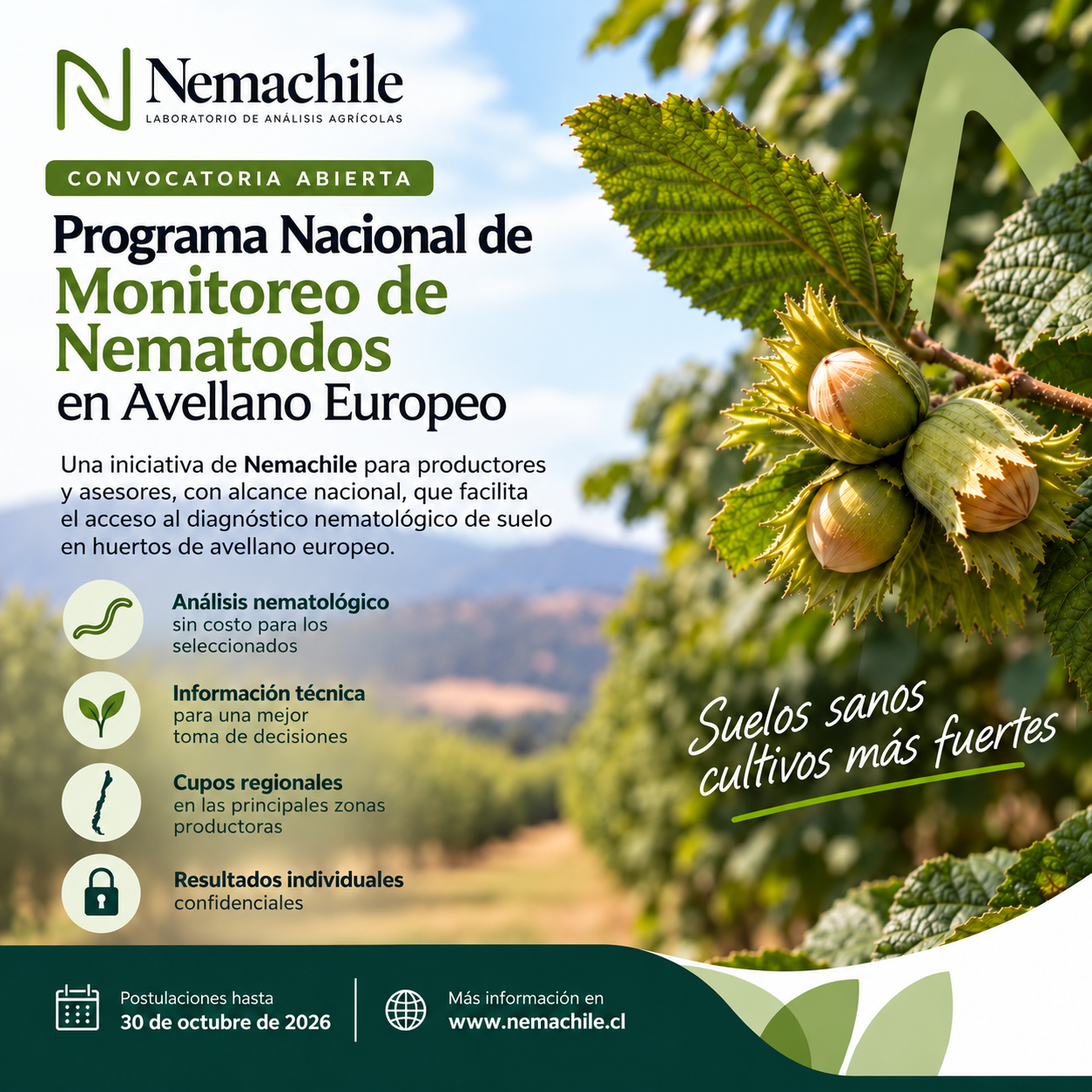 Afiche del Programa Nacional de Monitoreo de Nematodos en Avellano Europeo 2026